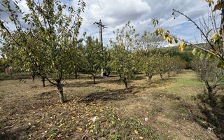 Teren 3200 mp în Osoi, comuna Comarna, cu deschidere de 36 ml la DN28 - Poză 1