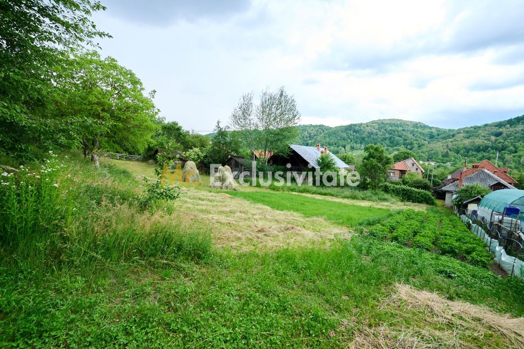 Casa cu teren generos - 4696 mp Apa Sarata - Campulung !! - Poză 11