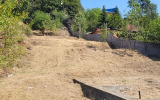 Teren intravilan Turcesti (Pitesti) - 1083 mp, demisol executat - Poză 3