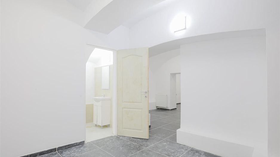 Sub mantia arhitecturala istorica a Cetatii Timisoarei, Spatiu comercial - Poză 9