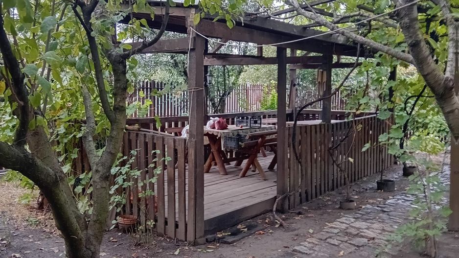 Casă Spațioasă P+1+M, 265 mp Utili, 1000 mp Teren – Toate Utilitățile, Vânători - Poză 18