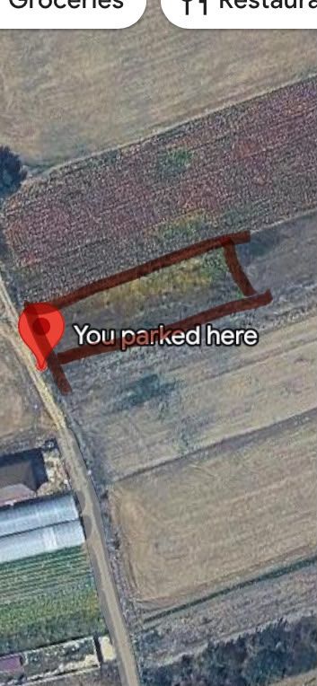 Teren intravilan arabil de vânzare – Copăceni - Ilfov | 1.148 mp - Poză 5
