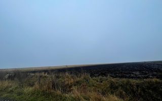 TEREN EXTRAVILAN | DOUA PARCELE| 70 ARI| IDEAL AGRICOL| CALAFINDESTI - Poză 3