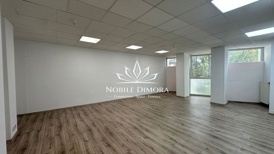 SAD de 20-60mp - Spatii de birouri - Comercial - Central - Piata 700 / Unirii - Poză 6