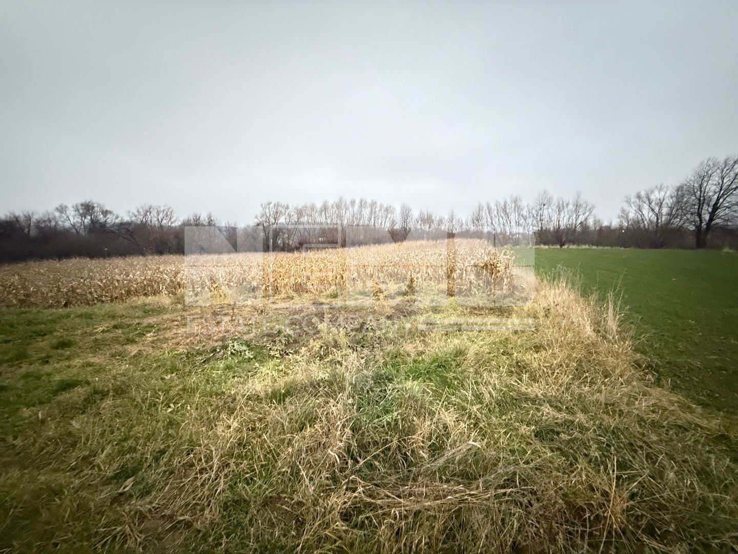 VAND CASA IN MARGINEA | 114.000 EURO NEGOCIABIL | - Poză 25