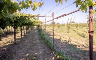Casă de vânzare Furceni – 7 camere, teren 8.000 m - Poză 27