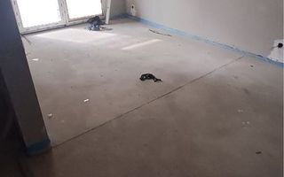 Apartament 2 camere în bloc nou – Mărăști, zona Fabricii - Poză 4