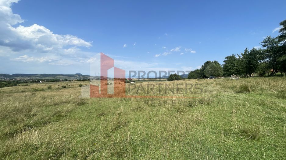 Teren de vanzare in  Tohanu Nou-Sohodol 6200 mp - Poză 6