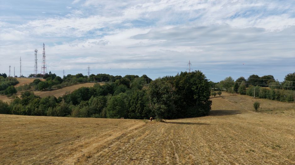 Teren Intravilan 17.800 mp Șinteu - Poză 2