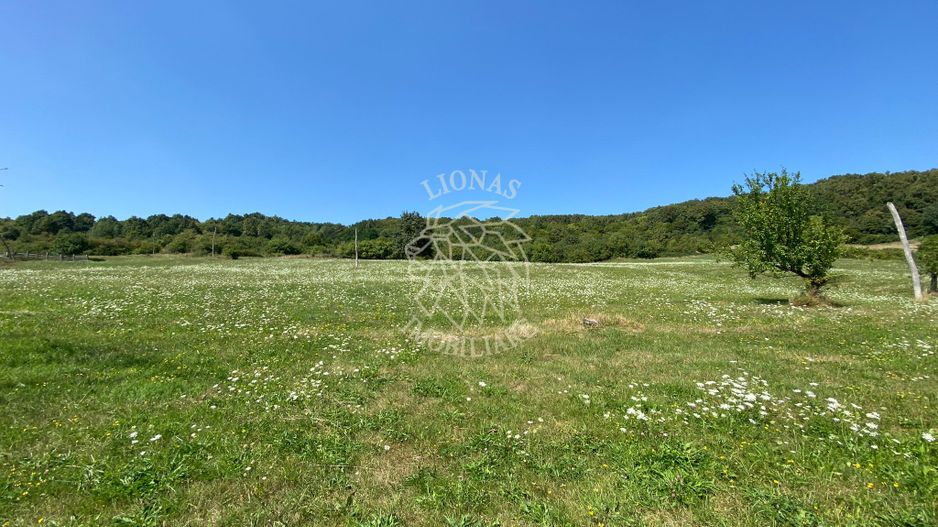 Teren 11.000 mp-ideal cabana/ferma-Unirea-Valea Slatinitei - Poză 7