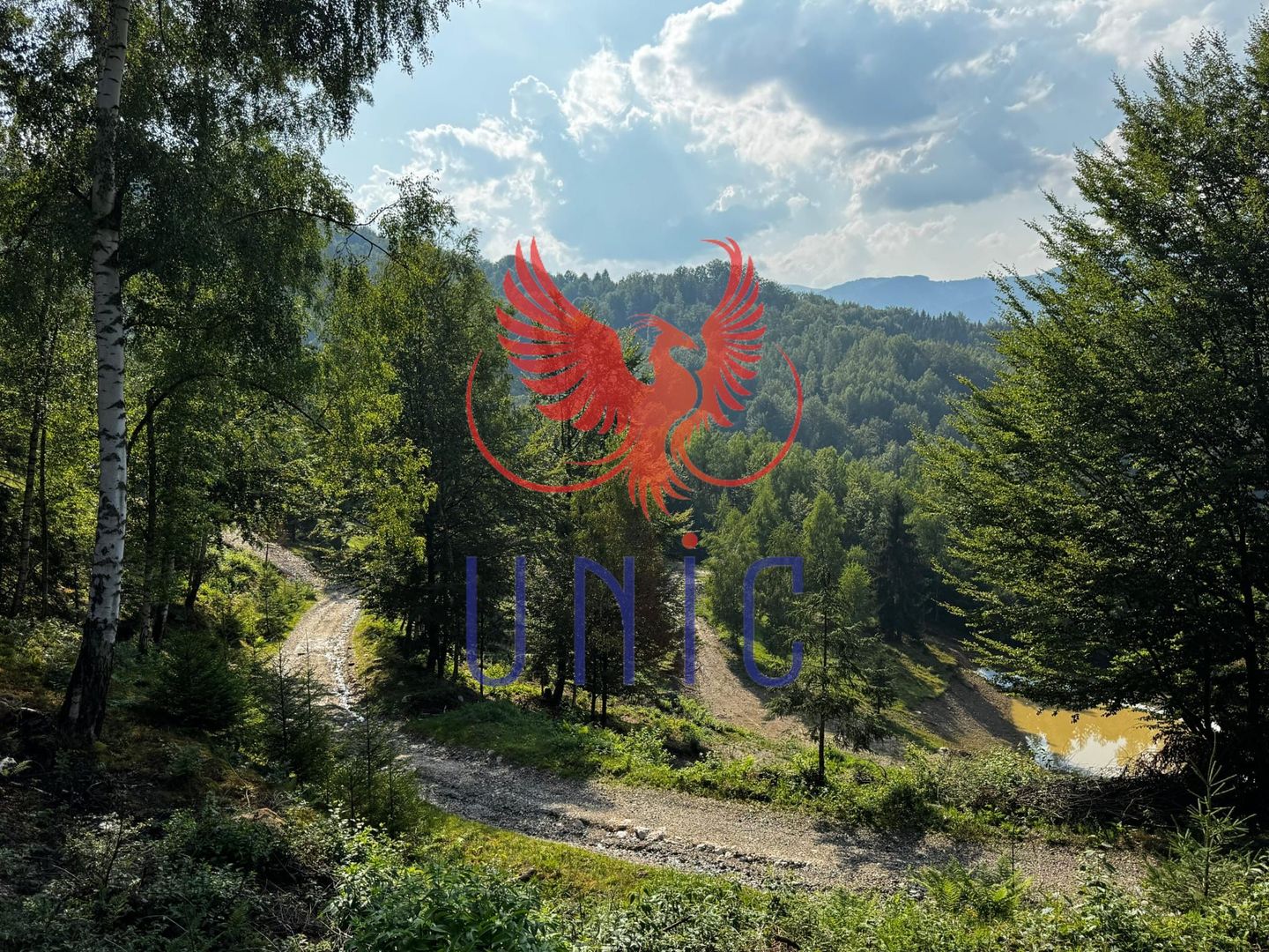 18000 mp de natura pura ,Lupeni, langa Straja - Poză 5