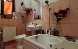 CASĂ DE VÂNZARE ÎN POUANA MĂRULUI,JUD. CARAȘ-SEVERIN - Poză 15