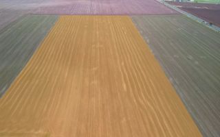 Teren 84.400 mp, ideal dezvoltare rezidentiala, PUZ aprobat, Frumusani - Poză 4