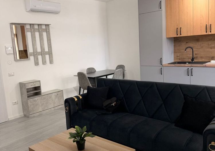 Inchiriez apartament 1 camera -zona Torontalului - Poză 8