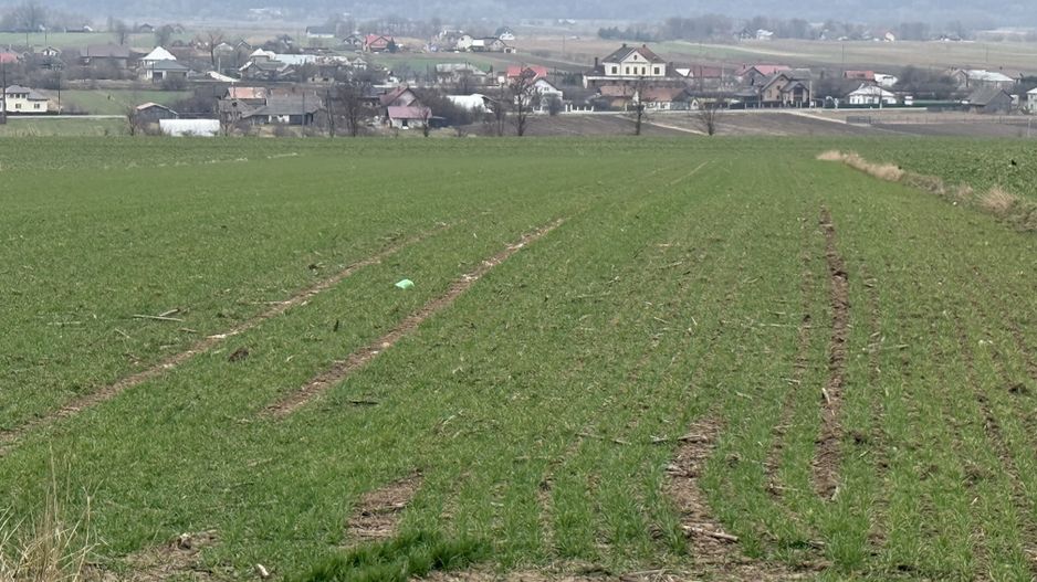 Teren intravilan | Grănicesti | 32 ARI - Poză 4