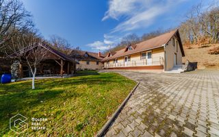 Proprietate pretabila pentru afacere, Cladova - Poză 1