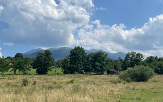 Teren de vanzare in  Tohanu Nou-Sohodol 6200 mp - Poză 1