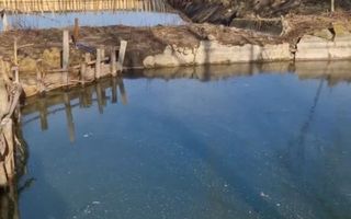 2 iazuri de vanzare - Poză 4