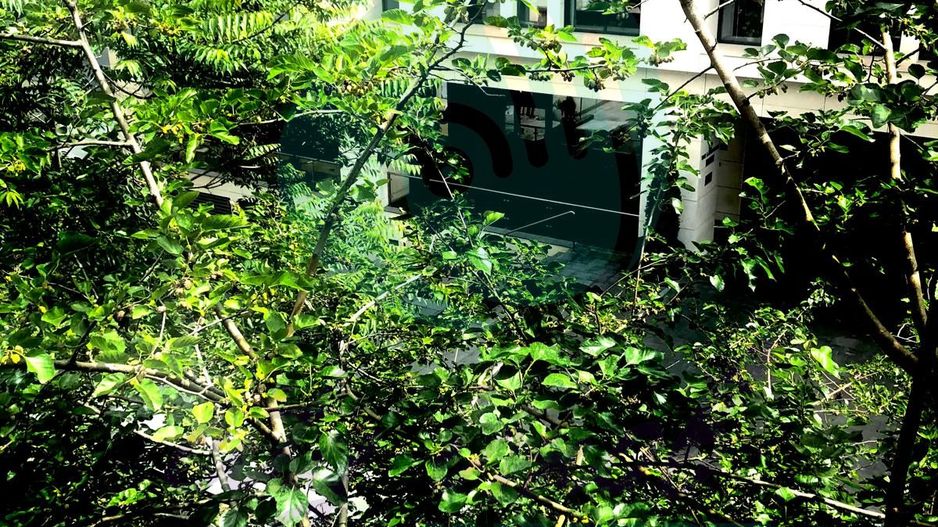 Apartament cu 3 camere renovat si cu parcare - Poză 9