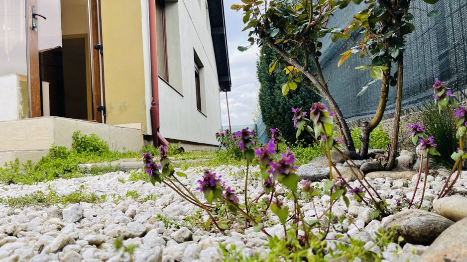 Casa din Dumbravita, 4 camere, 110 mp - Confort si liniste - Poză 44