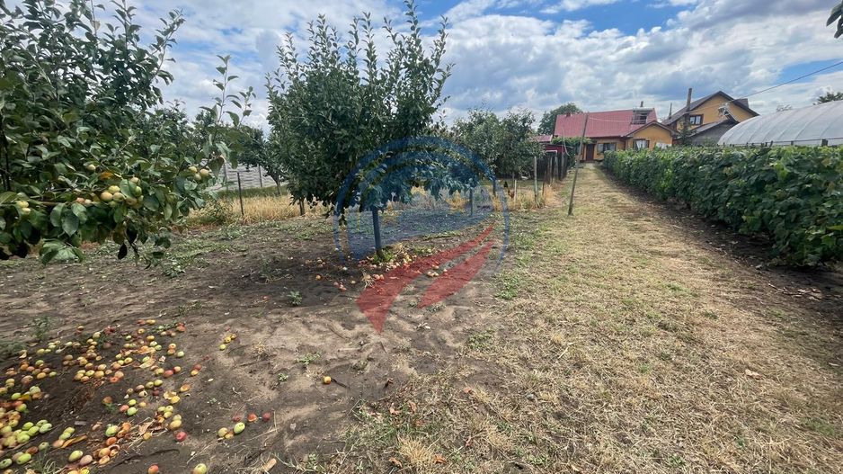 Casa in localitatea Zanoaga- Dolj - Poză 4