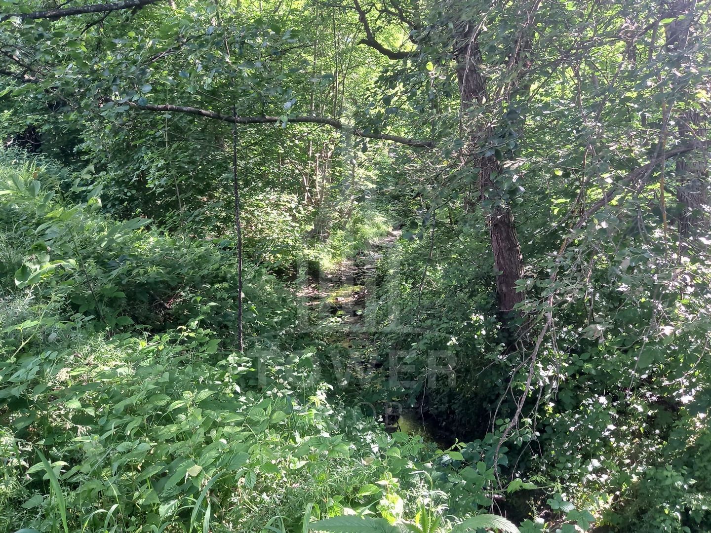 Teren în Fântânele – 3.673 mp, pârâu si cadru natural  deosebit - Poză 9