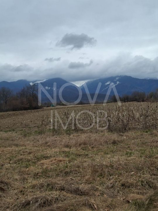 Teren extravilan de vanzare - Arpasul de Sus - Poză 7
