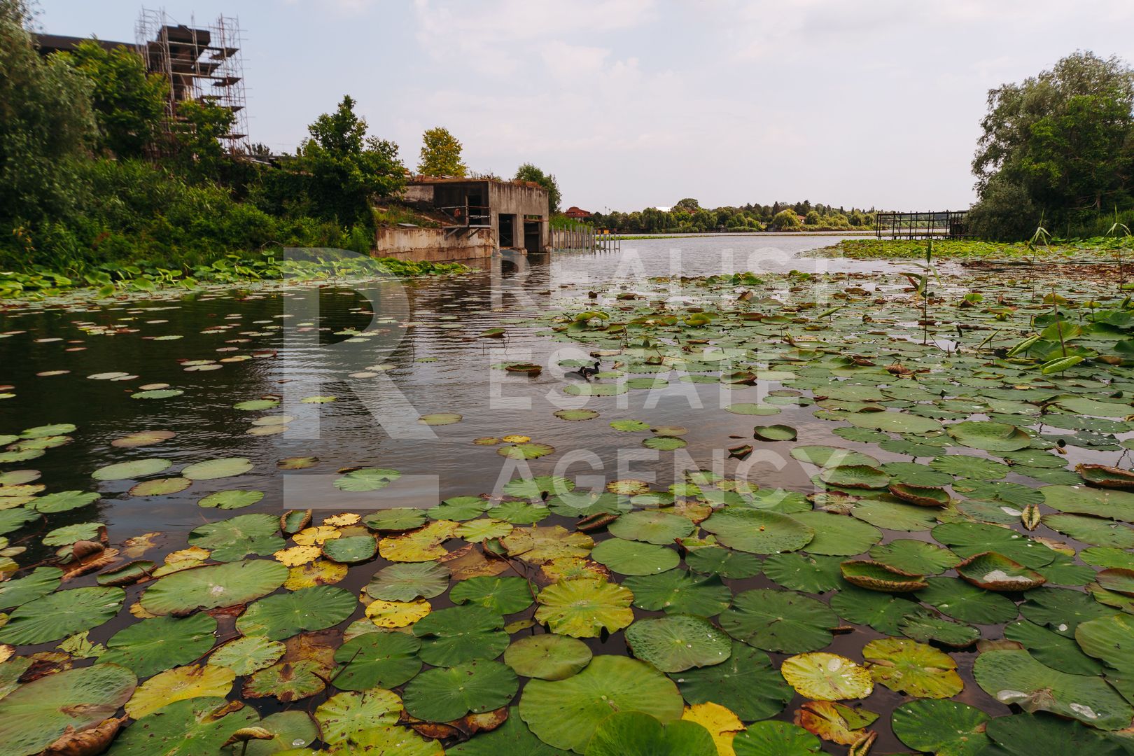Casă cu piscină și ieșire la lacul Snagov - Poză 6