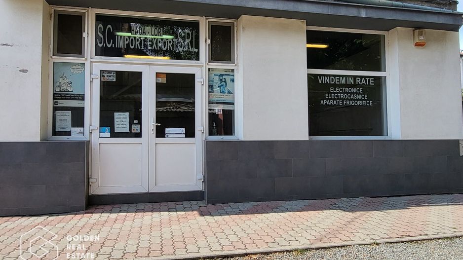 Spatiu comercial, oras Lipova - Poză 8