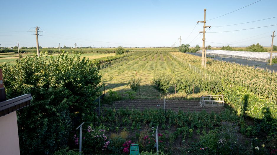 Casă de vânzare Furceni – 7 camere, teren 8.000 m - Poză 22