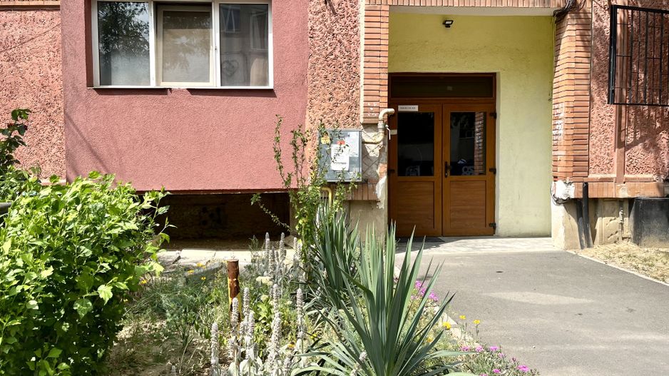 Apartament 2 camere, spațios, zona Spitalul Județean - Parcul Soarelui - Poză 23