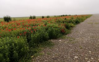 Teren la DN Brașov-Tărlungeni - Poză 5
