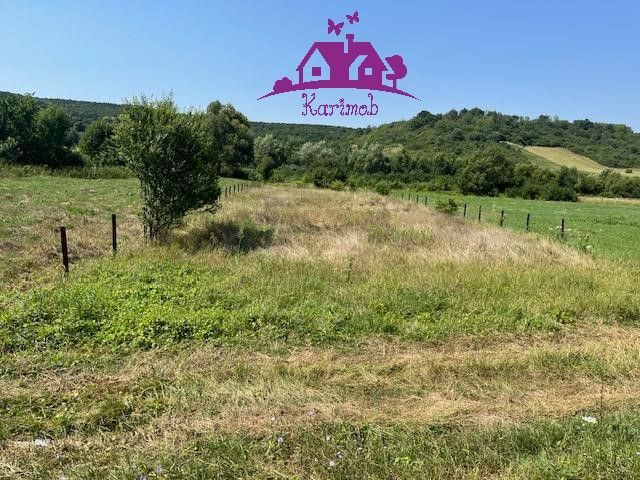 Teren intravilan Hidiselul de Sus - Poză 8