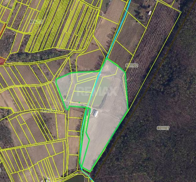 Teren de 0.28 Hectare cu Iaz propriu, lângă pădure – Vorniceni, Strășeni! - Poză 6