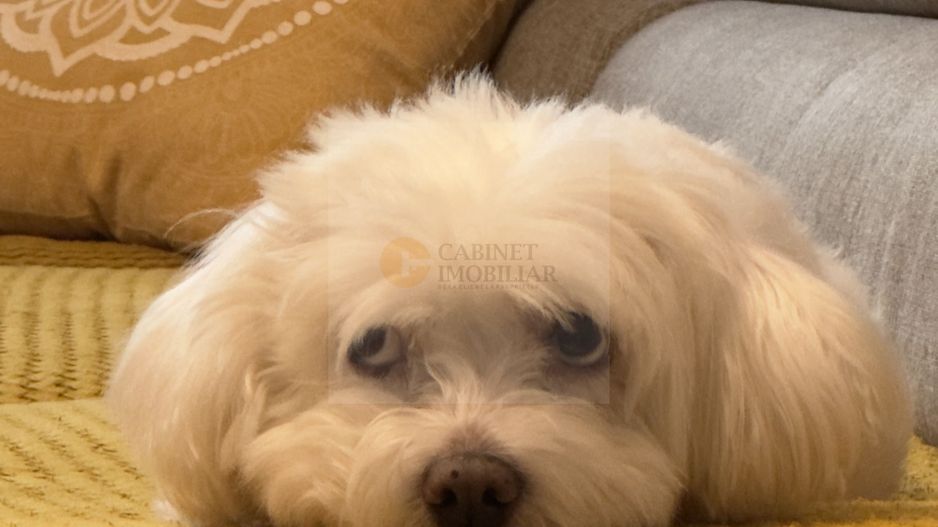 2C Decomandat - 50mp | Metrou Lujerului | Reabilitat | Et Intermediar - Poză 16