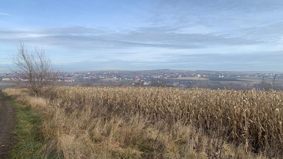 Teren intravilan de vânzare | Cajvana | 7.800 mp - Poză 3