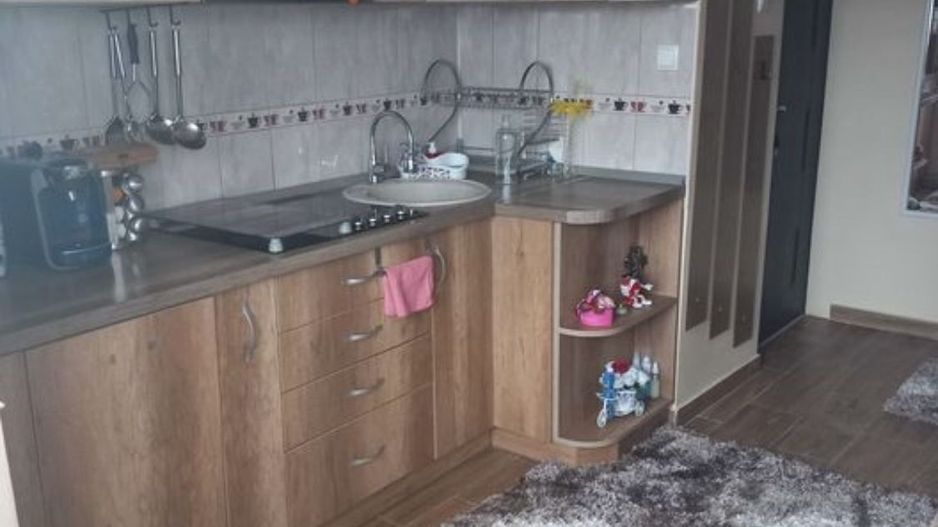 Apartament cu 2 camere pe Drumul Careiului - Poză 4