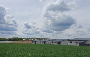 Case noi și ieftine, pe lacul Crevedia.