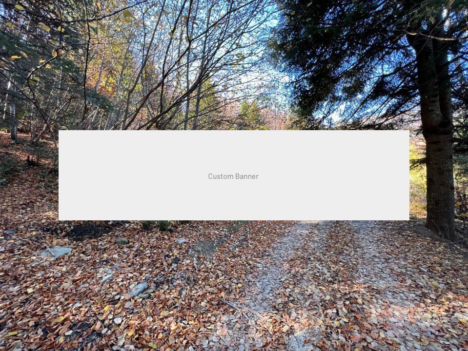 Teren 500 metri - central Sinaia - ideal constructii - Poză 1