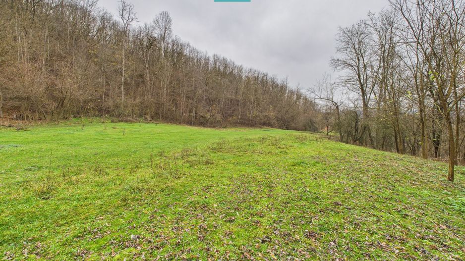 Casă cu teren de 24.679,73 mp, în Hălmagiu, Arad - Poză 31