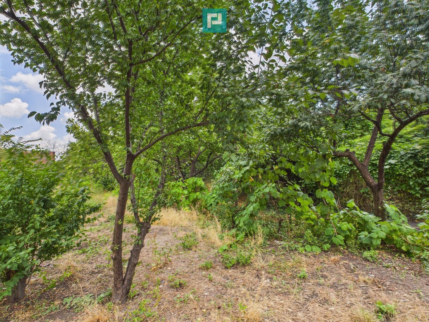 Teren 1.484 mp în zona Iosefin - Poză 2