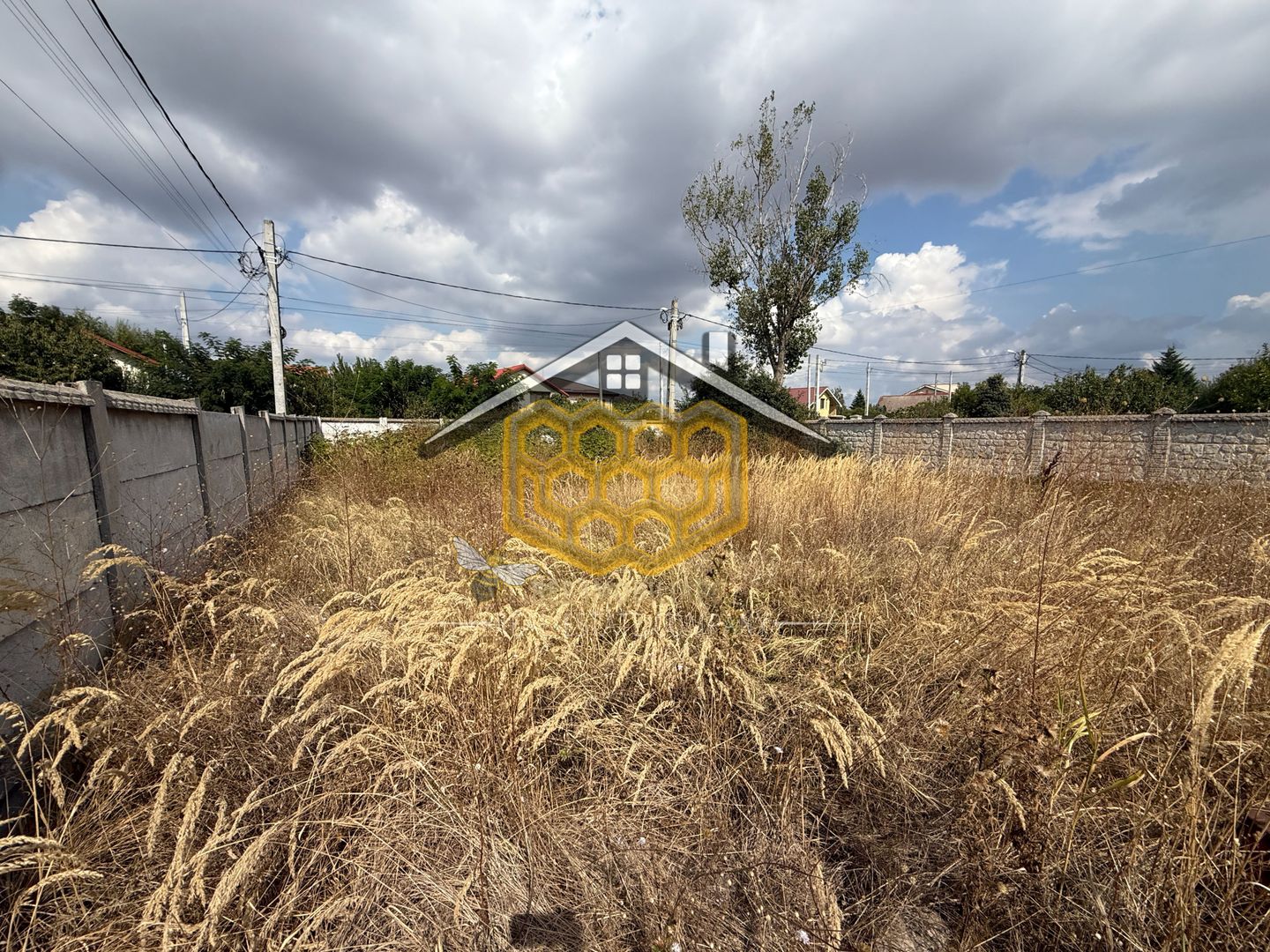 Teren intravilan in Albesti cu deschidere la 2 strazi - Poză 5