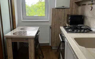 Apartament 2 camere/ zona Rulmentul - Poză 16