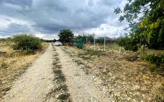 Teren intravilan de 2200 mp în Paleu – Front stradal 18 ml - Poză 3