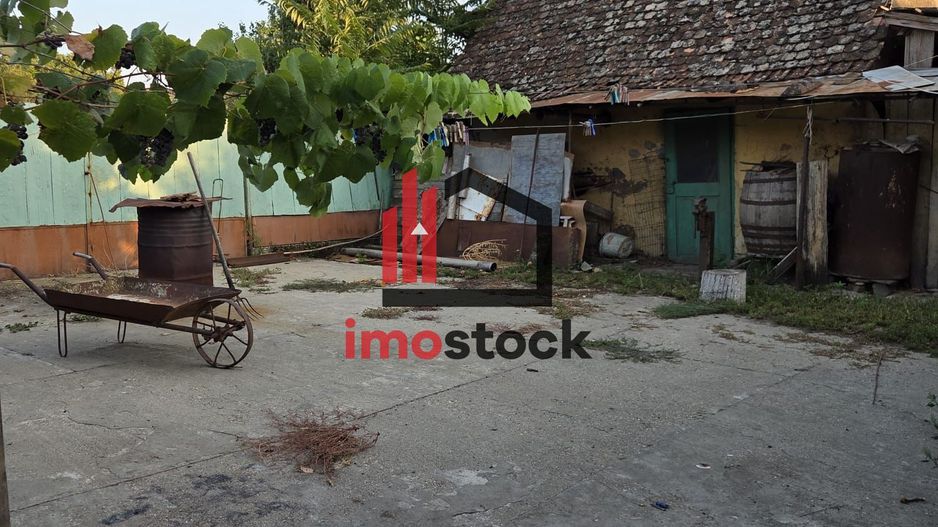 Casă și teren 2177 mp Ortisoara -28ml front-comision 0 - Poză 9