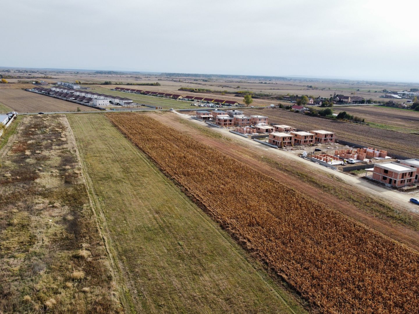 Teren PUZ rezidential-Bucovat (Remetea Mare) - Poză 3