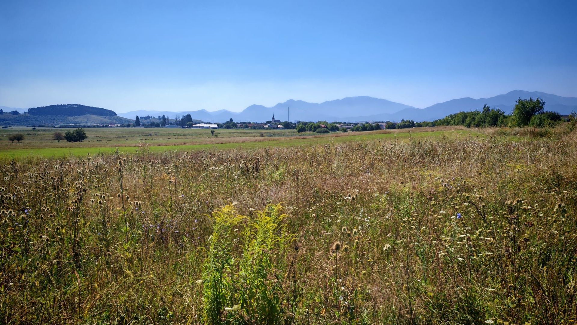 Teren intravilan,447 mp,SANPETRU iesirea spre BOD, utilitati. - Poză 3