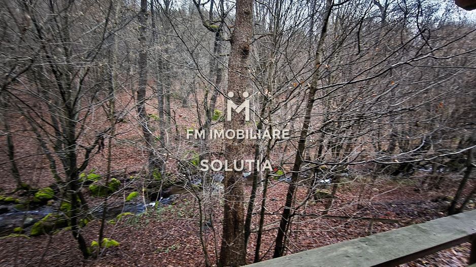 Cabană de vânzare – zona Groapele Chiuzbăii - Poză 21
