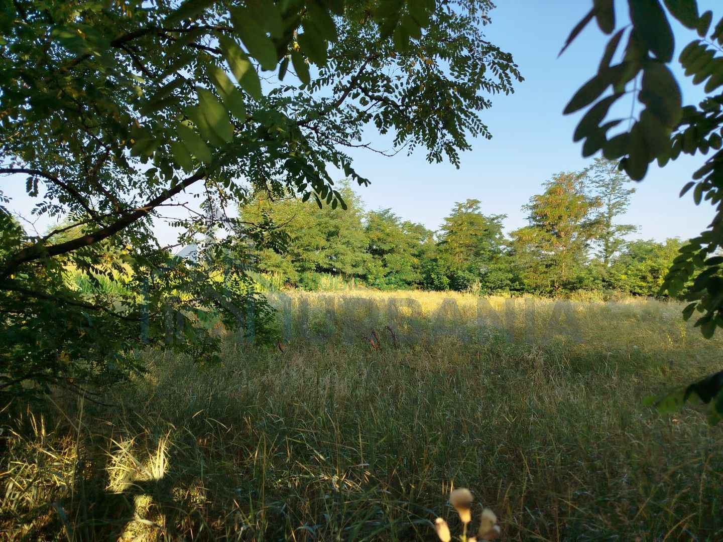 Teren intravilan de vânzare, Ruginoasa, aproape de DN28A - Poză 1