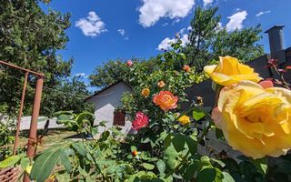 Casa si gradina-95000euro-Picioru Lupului-Comuna Ciurea - Poză 8